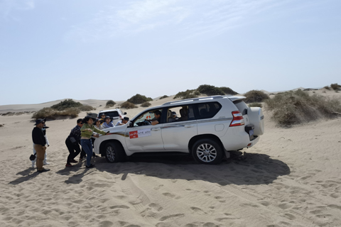 贝斯特 - 全球最奢华的游戏平台