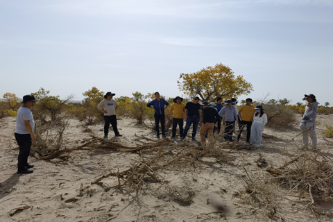 贝斯特 - 全球最奢华的游戏平台