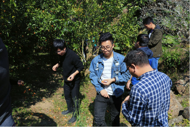 贝斯特 - 全球最奢华的游戏平台