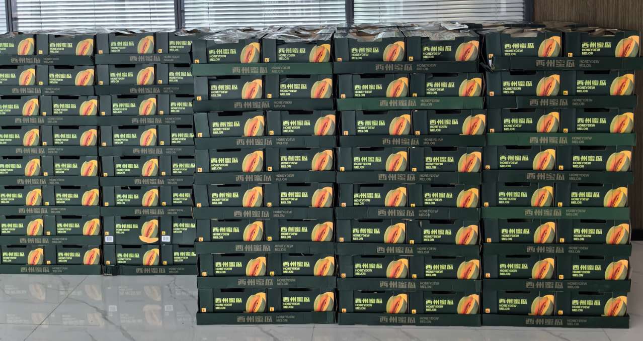 贝斯特 - 全球最奢华的游戏平台